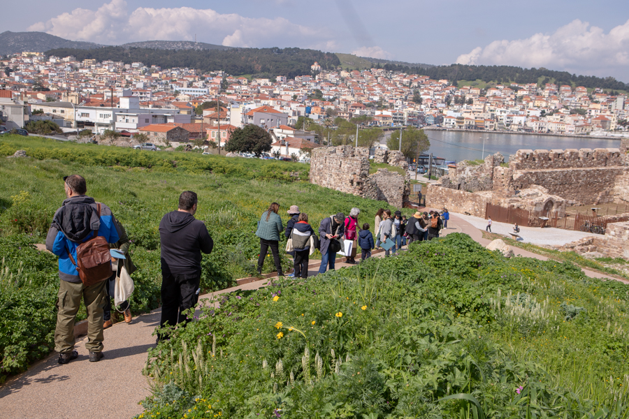 minibioblitz greece 2023