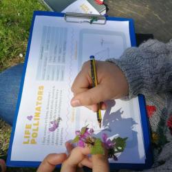 child holding plant in its hand