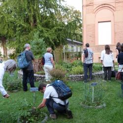 citizen in the botanic garden Bologna