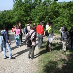 outdoor workshop with Prof Marta Galloni